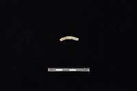 陶環藏品圖，第1張